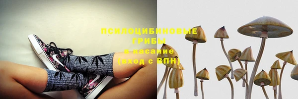 бошки Абдулино