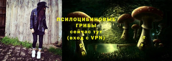 apvp Абинск